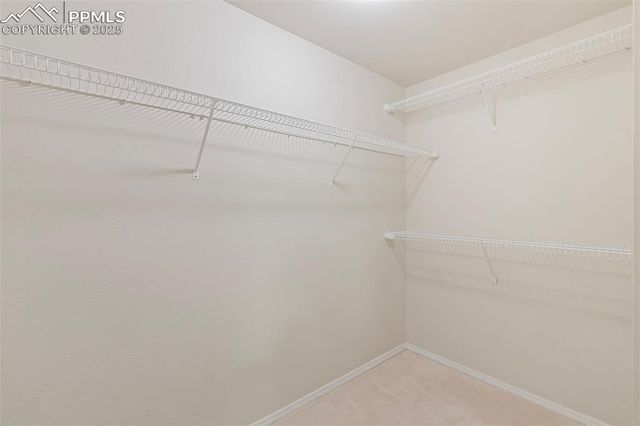 5747 Tradewind Point, Colorado Springs, CO 80923