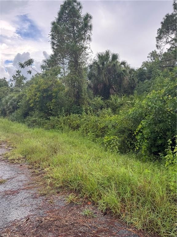 325 Irving AVE, LEHIGH ACRES, FL 33936 — photo 2