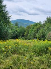 0 Route 115 # 2, Carroll, NH 03595