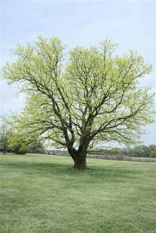 1310 N 968 Road, Lawrence, KS 66046