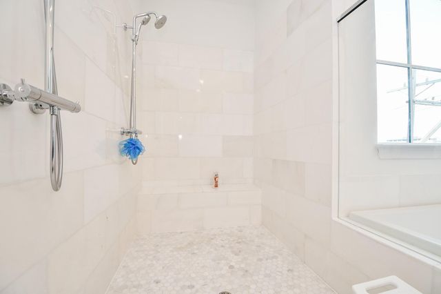 703 Bringhurst Street, Houston, TX 77020