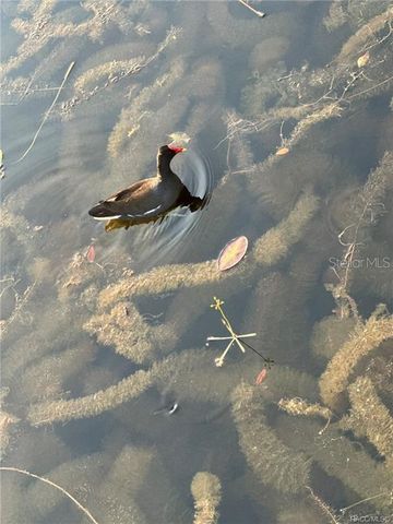 4010 E DANDY LOOP, Hernando, FL 34442