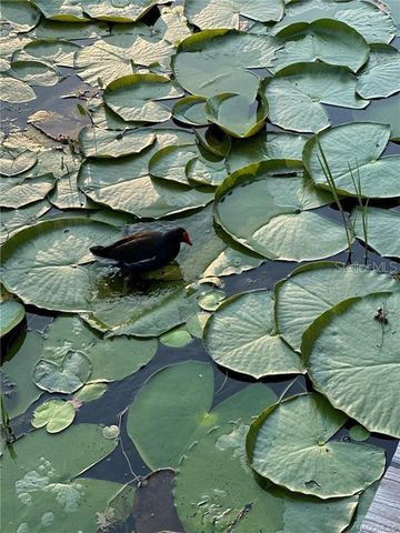 4010 E DANDY LOOP, Hernando, FL 34442