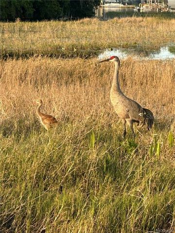 4010 E DANDY LOOP, Hernando, FL 34442