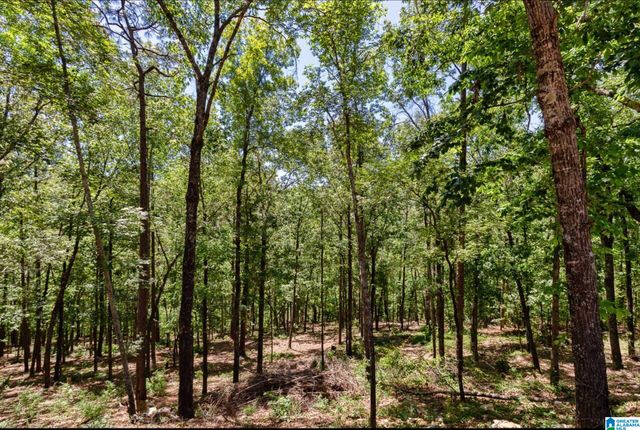 2047 LINDSAY LANE, Chelsea, AL 35043