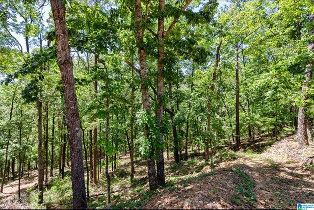 2047 LINDSAY LANE, Chelsea, AL 35043