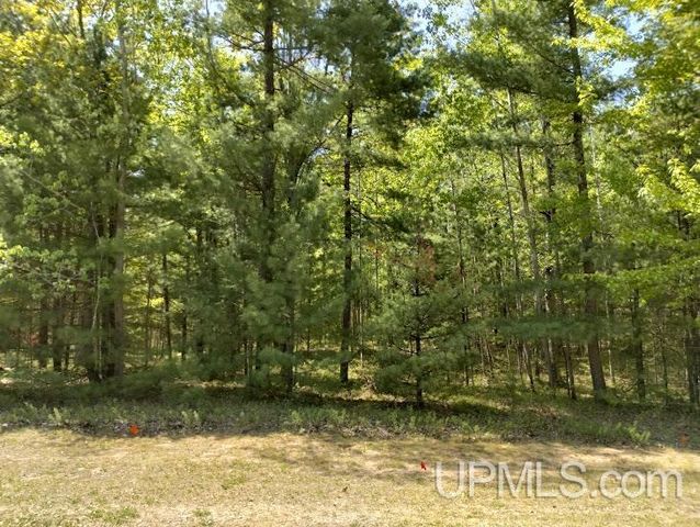 10431 Breezy R.22 Lane, Rapid River, MI 49878