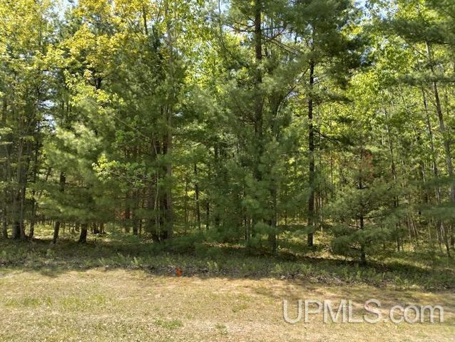 10431 Breezy R.22 Lane, Rapid River, MI 49878