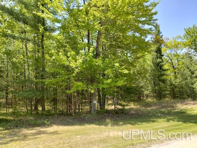 10431 Breezy R.22 Lane, Rapid River, MI 49878