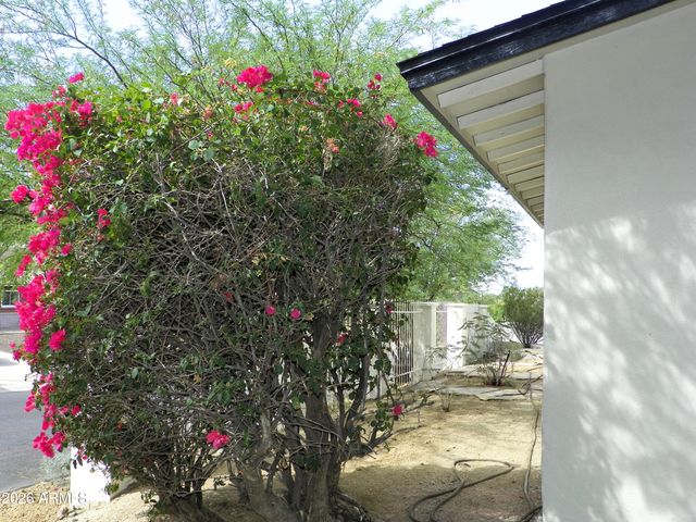 9402 N 18TH Street N, Phoenix, AZ 85020