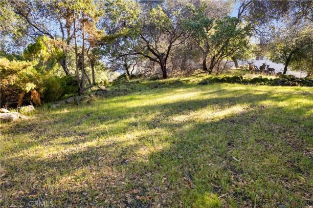 10849 Northslope Drive, Kelseyville, CA 95451