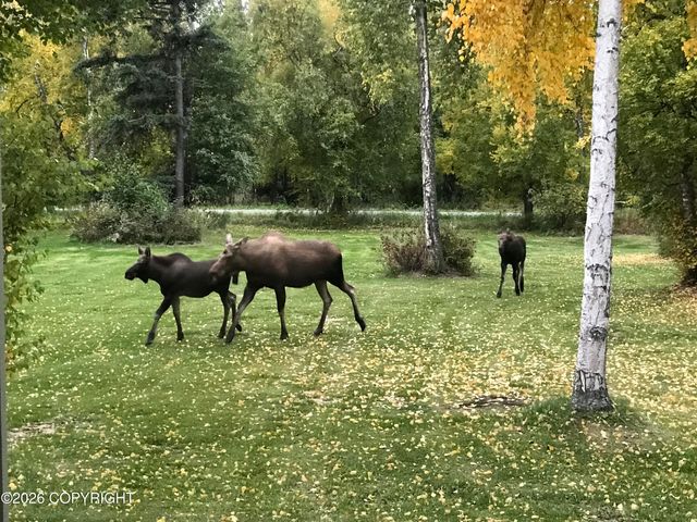 15721 E Sams Circle, Palmer, AK 99645