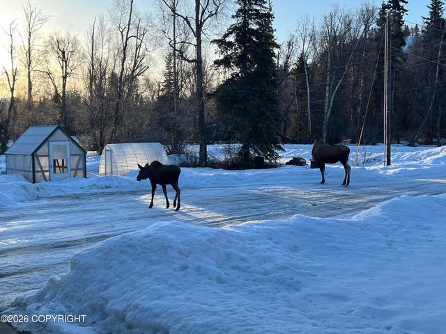 15721 E Sams Circle, Palmer, AK 99645
