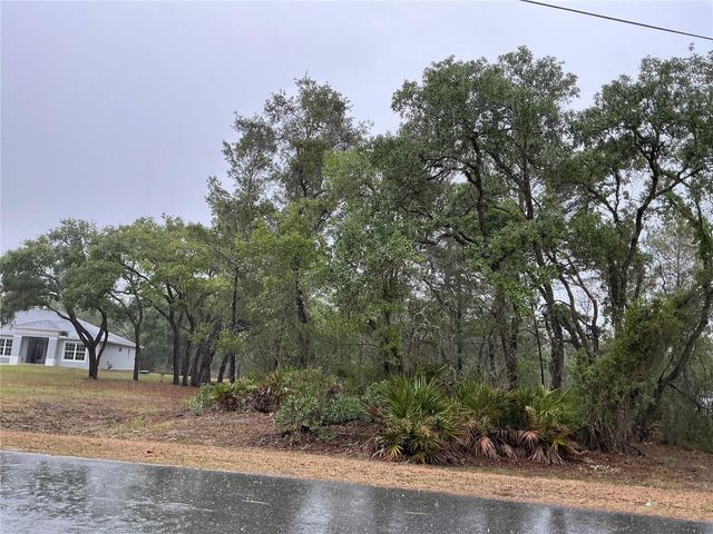 10353 MEADOW WREN AVENUE, Weeki Wachee, FL 34613