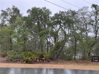 10353 MEADOW WREN AVENUE, Weeki Wachee, FL 34613