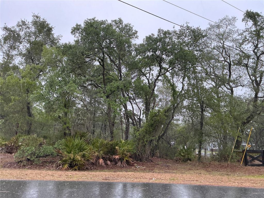 10353 MEADOW WREN AVENUE, Weeki Wachee, FL 34613