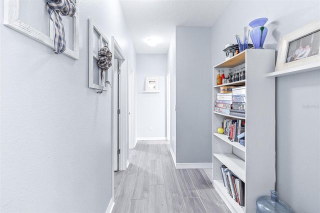 16320 BRIDGEWALK DRIVE, Lithia, FL 33547