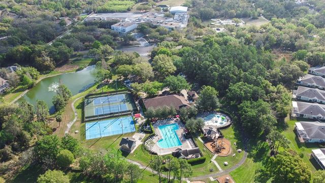 16320 BRIDGEWALK DRIVE, Lithia, FL 33547