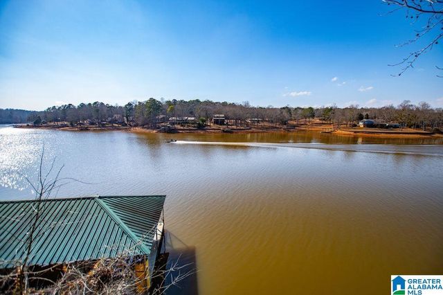 251 PLEASURE POINT ROAD C3, Wedowee, AL 36278