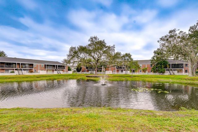 13693 ORANGE SUNSET DRIVE 203, Tampa, FL 33618