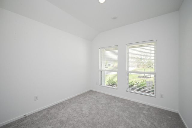 26811 Tree Mallow Drive, Katy, TX 77493