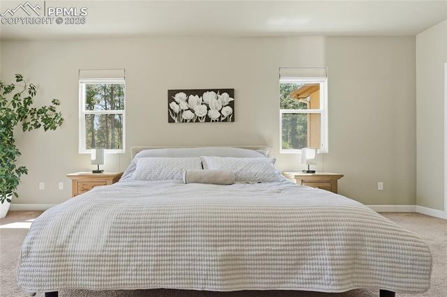 16044 Pole Pine Point, Colorado Springs, CO 80908