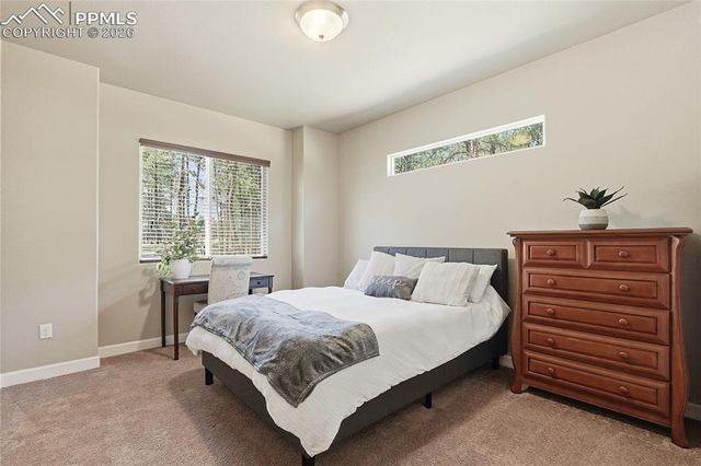 16044 Pole Pine Point, Colorado Springs, CO 80908