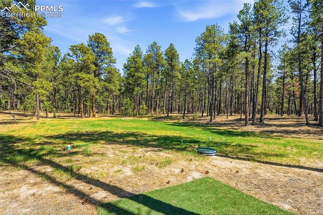 16044 Pole Pine Point, Colorado Springs, CO 80908