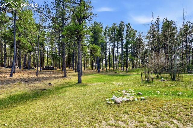 16044 Pole Pine Point, Colorado Springs, CO 80908