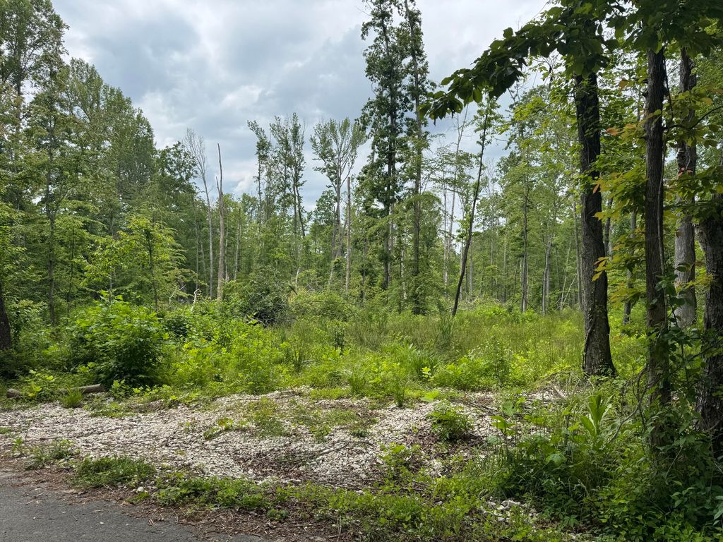 0 Bentley Day Road, Morehead, KY 40351