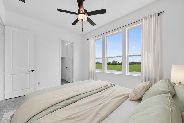 546 Chatham Street, Oak Point, TX 75068