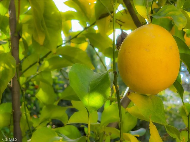 2244 N La Paz, Claremont, CA 91711