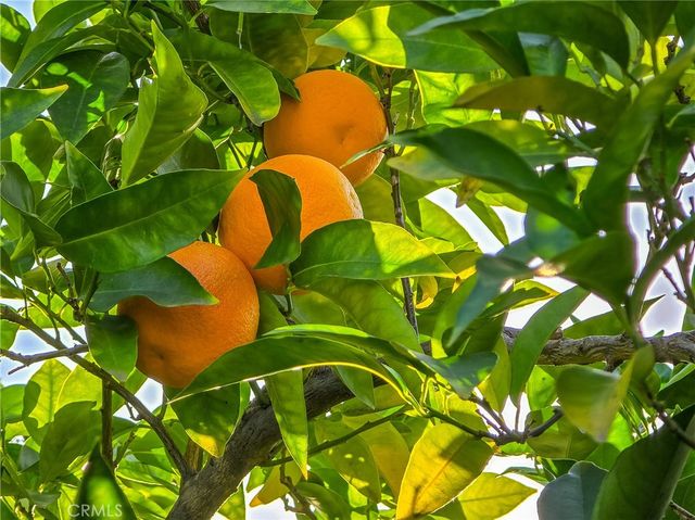 2244 N La Paz, Claremont, CA 91711