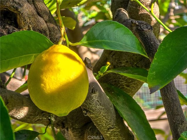 2244 N La Paz, Claremont, CA 91711