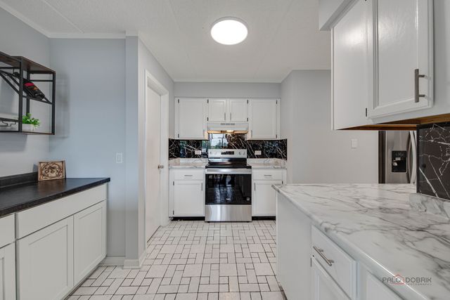 1551 Ashland Avenue 306, Des Plaines, IL 60016