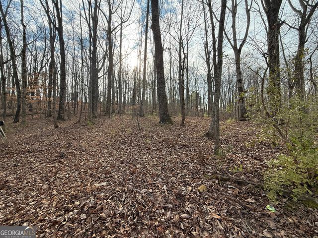 4445 Talking Rock Road, Talking Rock, GA 30175