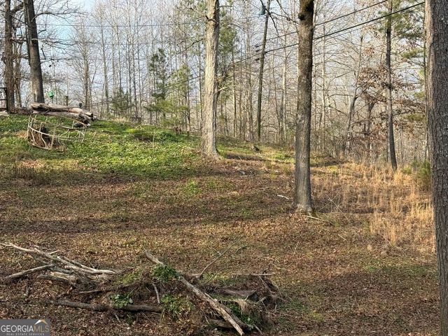 4445 Talking Rock Road, Talking Rock, GA 30175