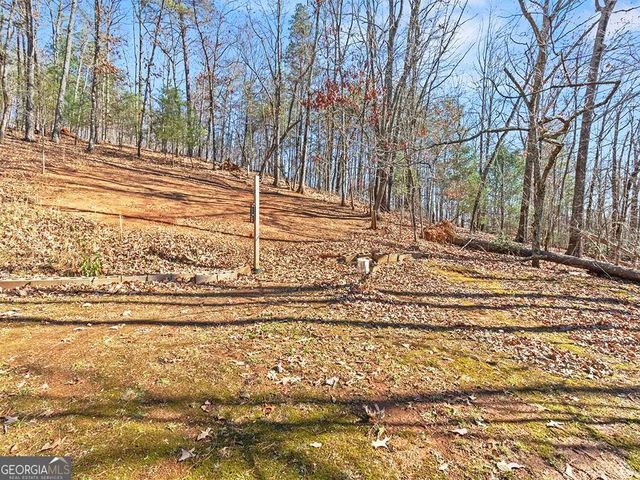 924 Fred Ash Road, Dahlonega, GA 30533