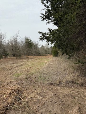 Lot 1 SE CR 4045, Kerens, TX 75144