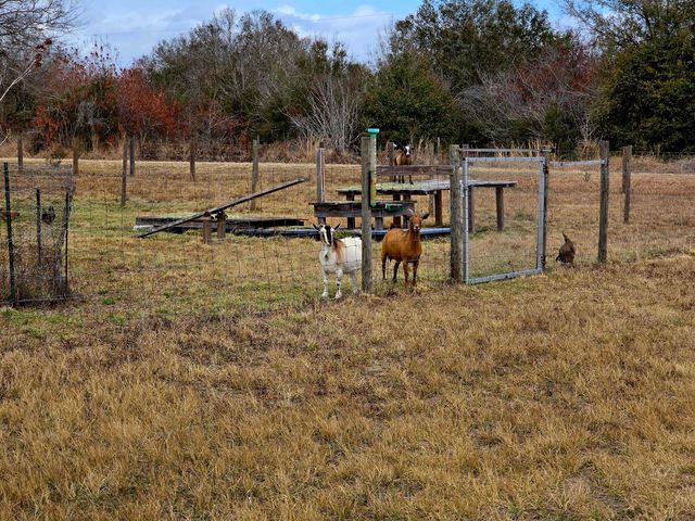 15468 NW 242nd Street, Okeechobee, FL 34972