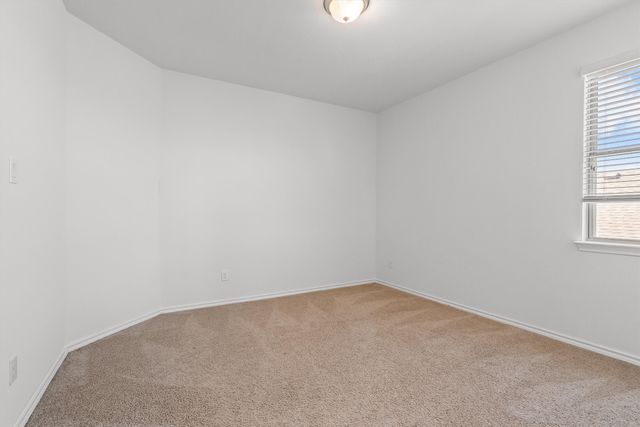 10113 Burtrum Drive, Fort Worth, TX 76177