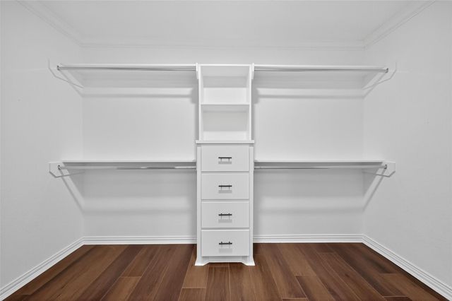 10594 Rustling Oaks Drive, Conroe, TX 77303