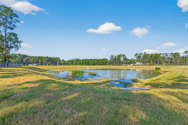 10594 Rustling Oaks Drive, Conroe, TX 77303