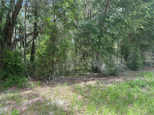 SW 111 LANE, Dunnellon, FL 34432