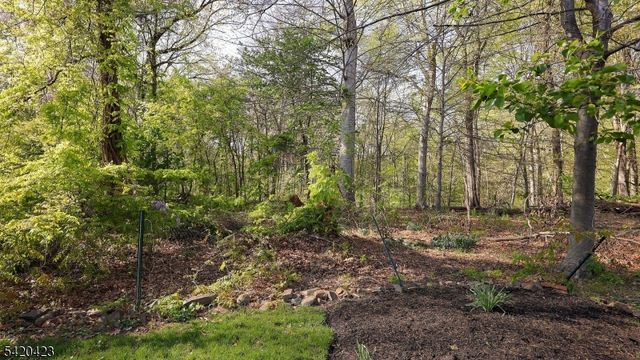 156 Mohawk Dr, Cranford Twp., NJ 07016