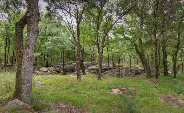 5845 Lazy Bend Road, Millsap, TX 76066