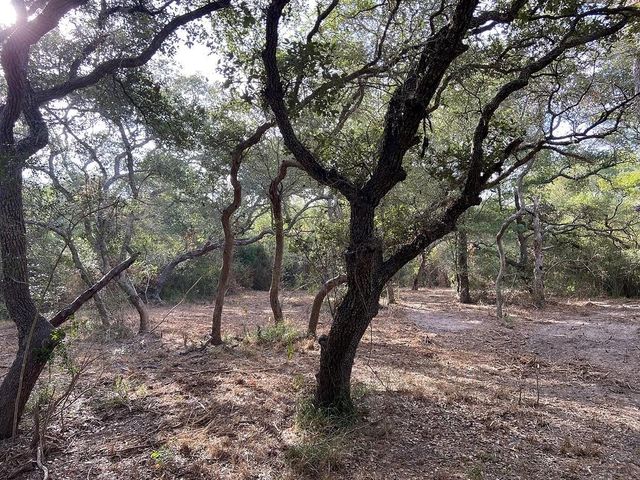 11 Acres Loose Cow Rd, Garwood, TX 77442