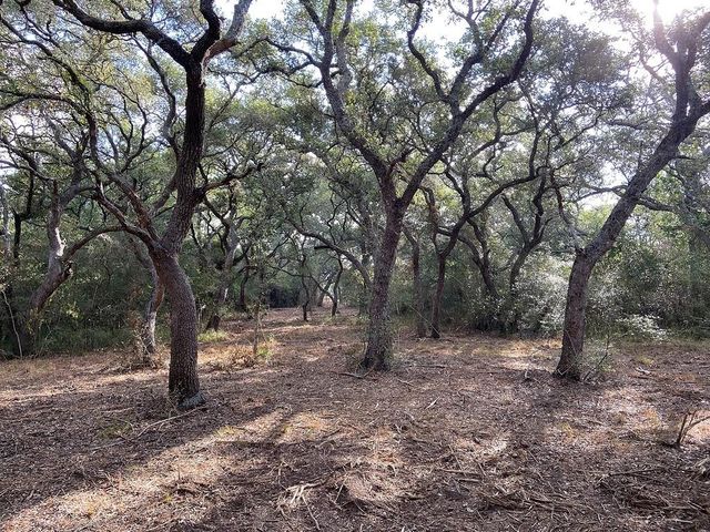 11 Acres Loose Cow Rd, Garwood, TX 77442