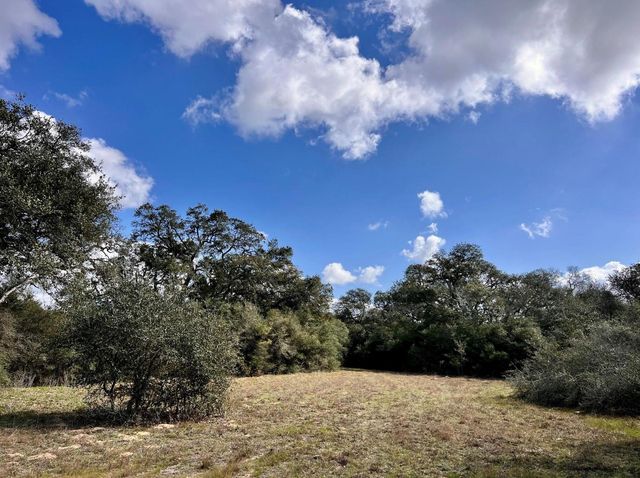 11 Acres Loose Cow Rd, Garwood, TX 77442