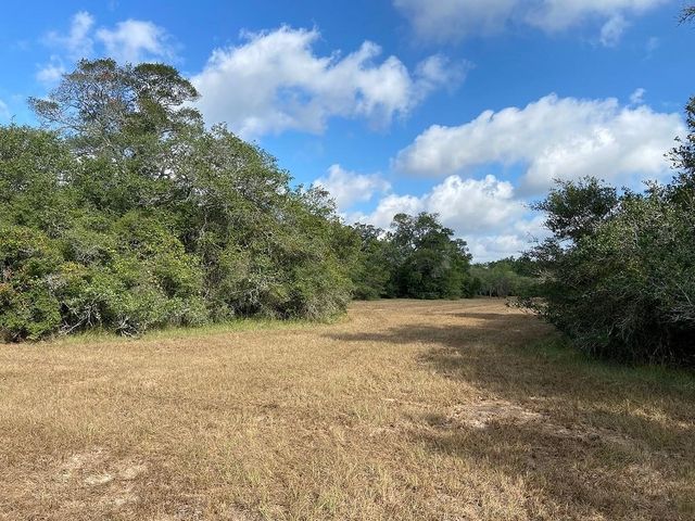 11 Acres Loose Cow Rd, Garwood, TX 77442